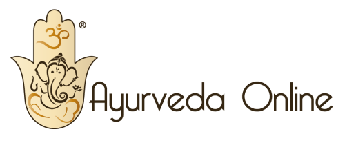 I Sarti del Web | Web agency a Bologna - Home 52 Logo Ayurveda online
