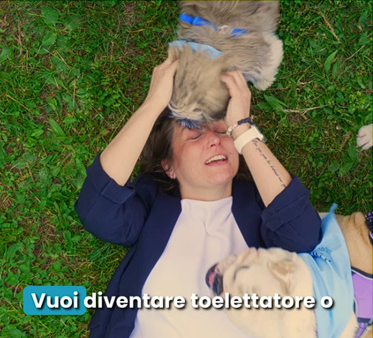 I Sarti del Web | Web agency a Bologna - thumb